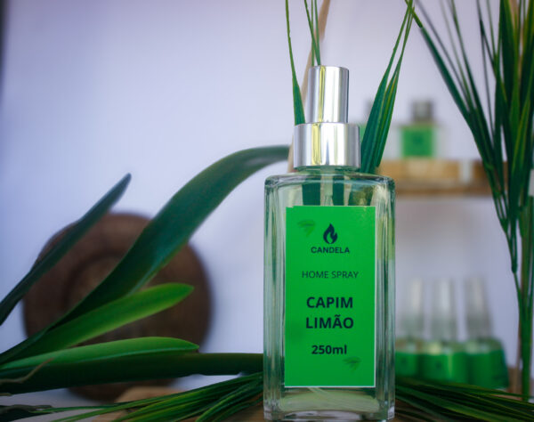 Home spray capim limão 250 ML